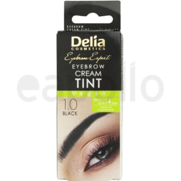Delia Eyebrow Cream Tint With Argan Oil - 1.0 Black 