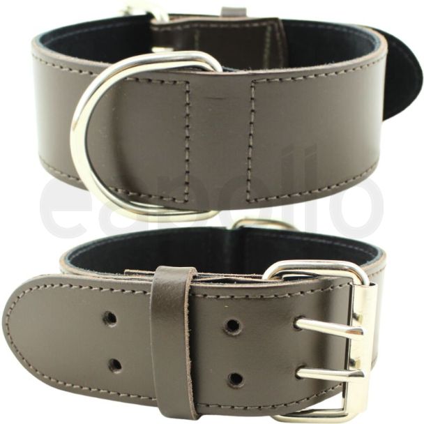 Extra Wide Bull Terrier Leather Collar-Brown (18-21'')