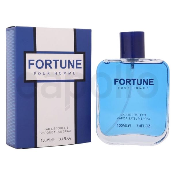 Wholesale Fine Perfumery Mens Perfume - Fortune Pour Homme
