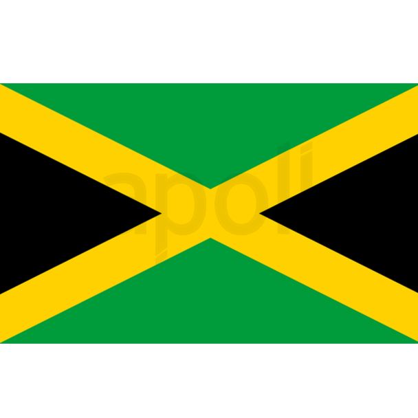 Jamaica's Flag 3ft x 2ft 