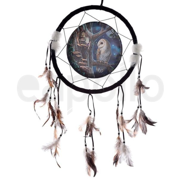 Lisa Parker Fairy Tales Owl & Fairy Dreamcatcher 33cm