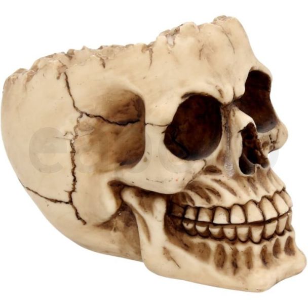 Lobo Skull Ornament 14.5cm