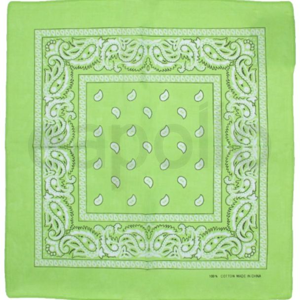 Paisley Print Bandana - Lime Green