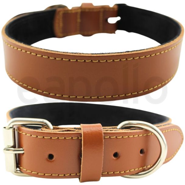 Wide Plain Leather Collar- Tan(20-23'')