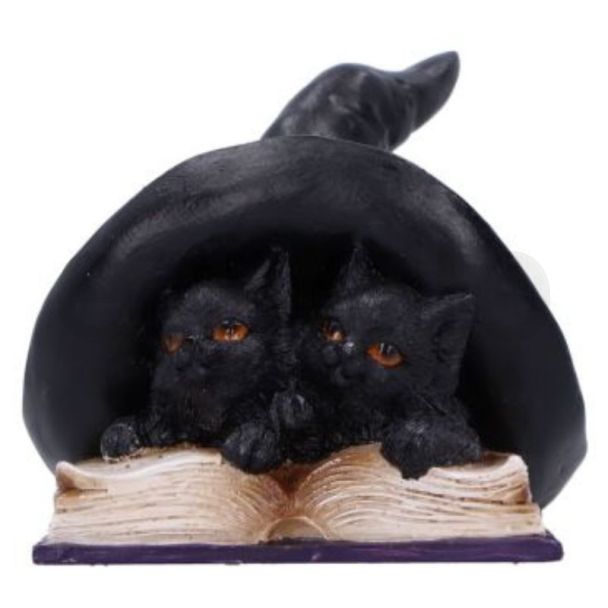 Potion Pair Black Cat With Witches Hat Figurine 10.5cm