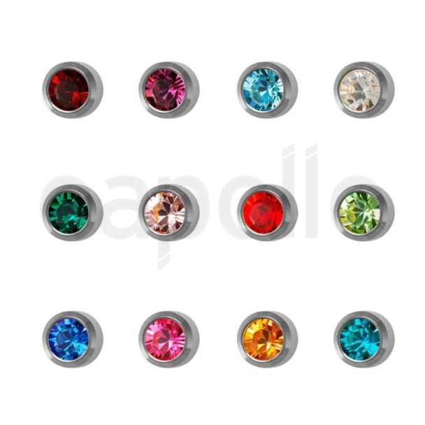 Studex Regular January - December Stainless Silver Bezel Studs (Assorted) - DCNR213W