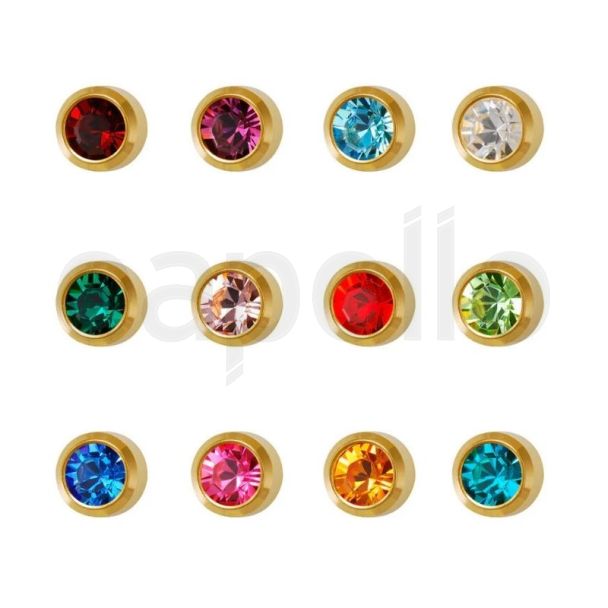 Studex Regular January - December Stainless Silver Bezel Studs (Assorted) - DCNR213W