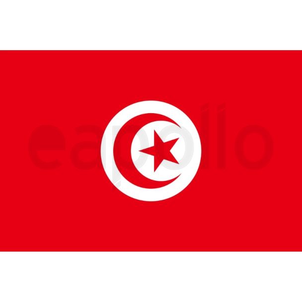 Tunisia Flag 5ft x 3ft