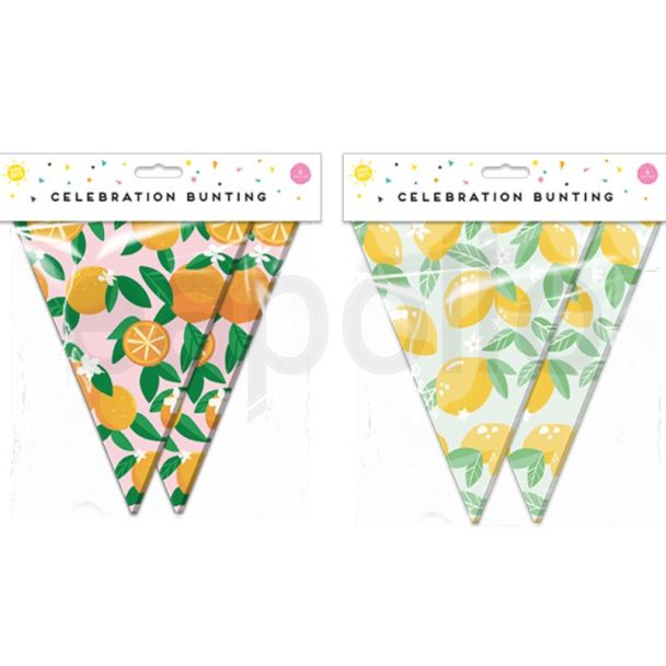 Summer Party Fruit Bunting - Assorted