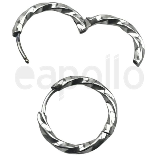 Twisted Circle Hoop Earrings with Hinged Closure