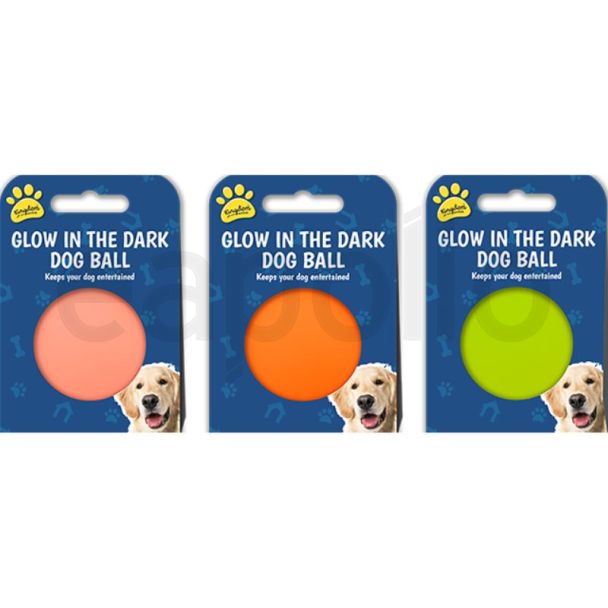 Glow In The Dark Dog Ball - Assorted