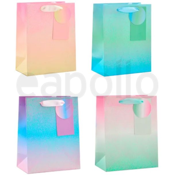 Ombre Iridescent Glitter Gift Bag - Assorted