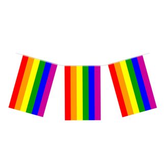 7m Rectangular Rainbow Pride Bunting 24 Flags 