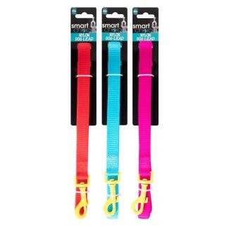 Bright Nylon Dog Lead 120cm