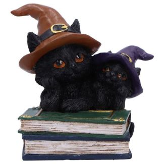 Duo Divination Witches Black Cat Figurine 10cm