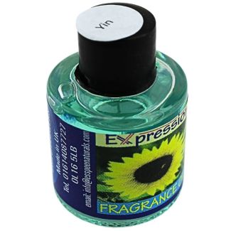 Wholesale Expression Feng Shui Fragrance Oils
