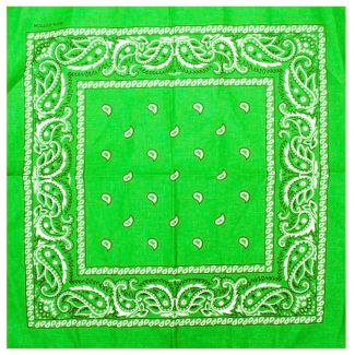 Paisley Print Bandana - Green