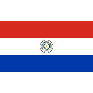 Paraguay Flag 5ft x 3ft