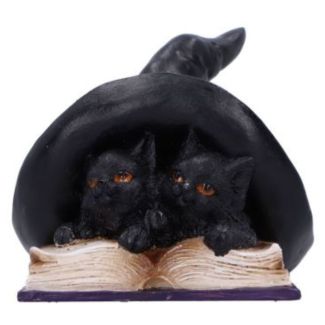 Potion Pair Black Cat With Witches Hat Figurine 10.5cm