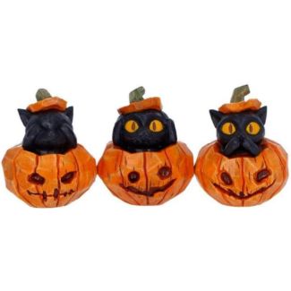 Three Wise Halloween Cats in Pumpkin Patch Figurine Set - 7.7cm