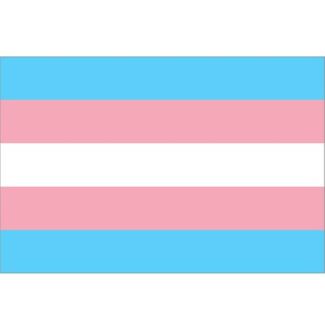 Wholesale Transgender Flag - 5ft x 3ft