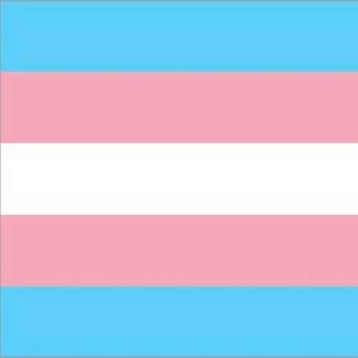 Transgender Flag Bandana 