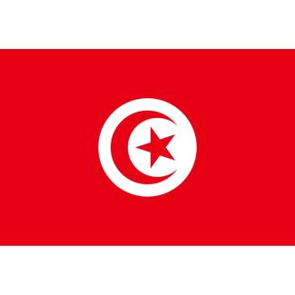 Tunisia Flag 5ft x 3ft