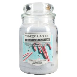 Yankee Candy Cane Forest Scented Jar Candle - 538g