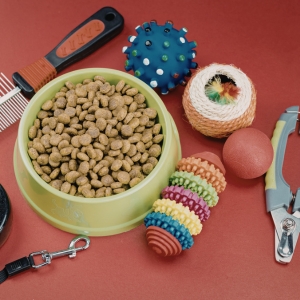 Wholesale Pet Supplies at Apollo Wholesale