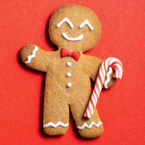 Wholesale Christmas Gingerbread Man Explore Our Huge Range of Christmas Gingerbread Man