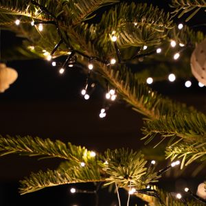 Wholesale Christmas Lights Explore Our Huge Range of Christmas Lights