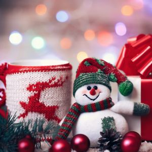 Wholesale Christmas Ornaments Explore Our Huge Range of Wholesale Christmas Ornaments