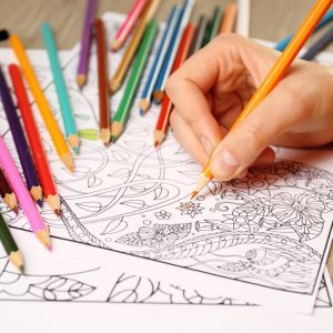 Buy wholesale colouring books at Apollo Wholesale. Wholesale Colouring Books