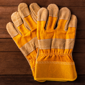 Wholesale DIY & Gardening Gloves Buy Wholesale DIY & Gardening Gloves at Apollo Wholesale