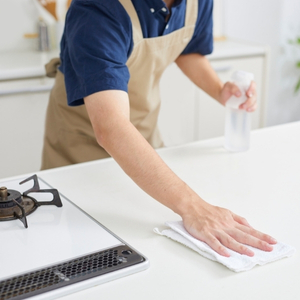 Buy Wholesale Kitchen Cleaning Products at Apollo Wholesale