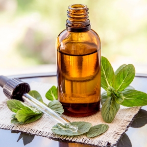 Explore Wholesale Peppermint Toiletry Products