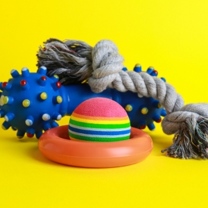 Wholesale Pet Toys at Apollo Wholesale