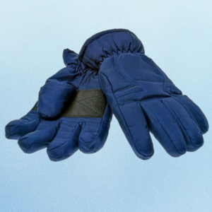 Wholesale Ski Gloves Buy Wholesale Ski Gloves at Apollo Wholesale