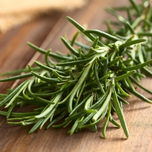 Explore Wholesale Rosemary Toiletry Products