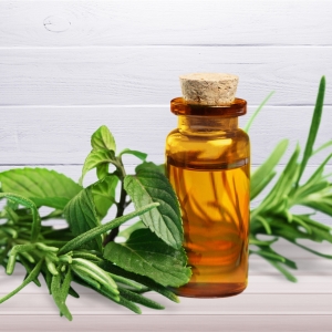 Explore Wholesale Tea Tree Toiletry Products