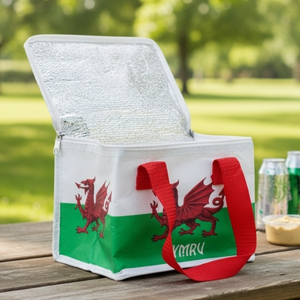 Wholesale Welsh Souvenirs Buy Wholesale Welsh Souvenirs at Apollo Wholesale