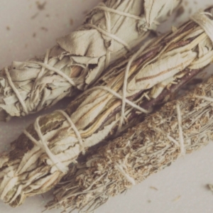 Wholesale Smudge Sticks Buy Wholesale Smudge Sticks at Apollo Wholesale