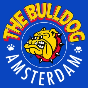 Wholesale Bull Dog at Apollo Wholesale