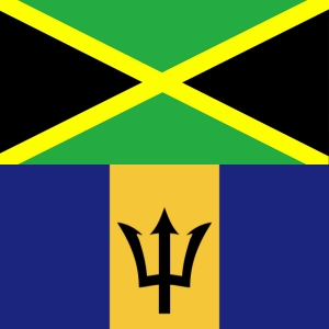 Wholesale Caribbean Theme Accessories Buy Wholesale Caribbean Theme Accessories at Apollo Wholesale