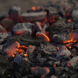Buy Wholesale Charcoal