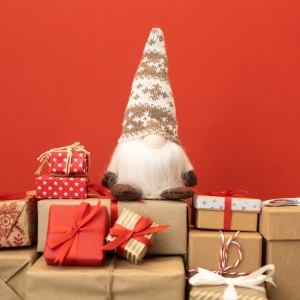 Wholesale Christmas Gonks Explore Our Huge Range of Wholesale Christmas Gonks
