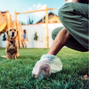 Buy Wholesale Dog Poop Bags at Apollo Wholesale
