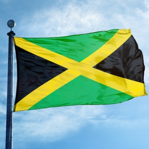 Wholesale Flags Buy Wholesale Flags at Apollo Wholesale