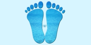 Wholesale Fresh Feel Socks Buy Wholesale Fresh Feel Socks at Apollo Wholesale