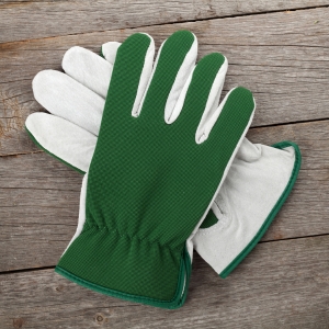 Wholesale Gardening at Apollo Wholesale